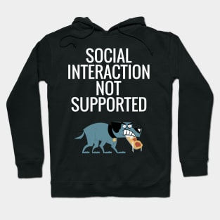 Social Interaction Not Supported Hoodie